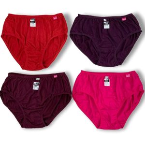 Essa Cazo Women’s Panty Pack Of 04 [ Nari 1380]